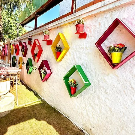 Alojamento de Acomodação e Pequeno-almoço Köyiçi Butik